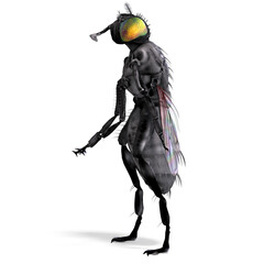 3d-illustration of an isolated giant blaxk fly