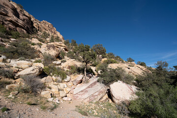 Fototapeta na wymiar Red Rock Landscape 