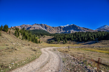 Artvin Şavşat Arsiyan Mountains and forests