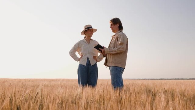 Young farmers examing planted wheat in the fields. Family business. Teamwork in agribusiness.