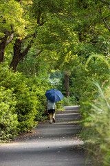 Fototapeta na wymiar 夏の公園で散歩しているシニア男性の姿