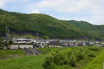 自然のある住宅街