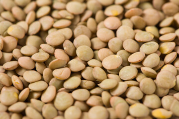 raw lentil culinaris beans textured background