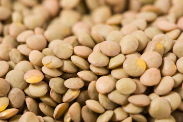 raw lentil culinaris beans textured background