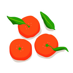 Tangerine or orange illustration. Fresh and healthy fruit.