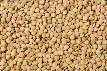 raw lentil culinaris beans textured background
