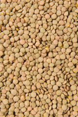 raw lentil culinaris beans textured background
