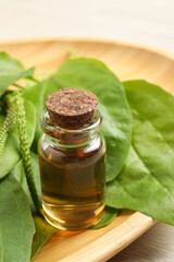 Bottle of broadleaf plantain extract and leaves on wooden plate, closeup