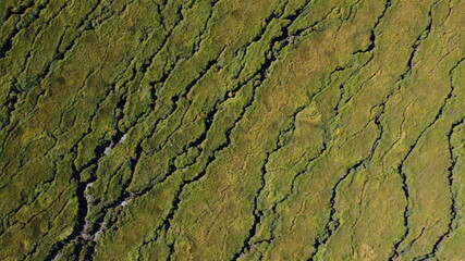 Abstract textures and veins cutting thru the wetlands of a tidal river system in Tasmanias Swan river area, Australia