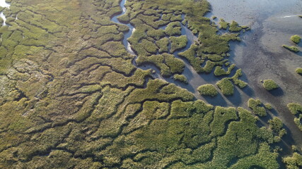 Abstract textures and veins cutting thru the wetlands of a tidal river system in Tasmanias Swan river area, Australia