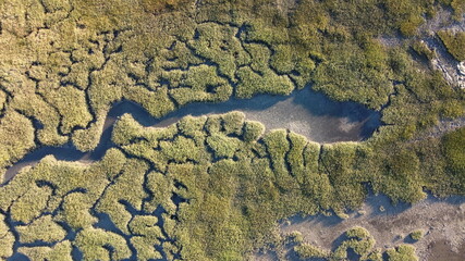 Abstract textures and veins cutting thru the wetlands of a tidal river system in Tasmanias Swan river area, Australia