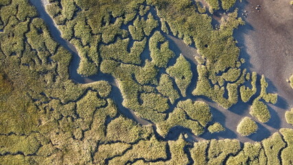 Abstract textures and veins cutting thru the wetlands of a tidal river system in Tasmanias Swan...