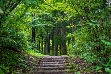 富山県富山市の立山連峰、鍬崎山、大品山、瀬戸蔵山の登山道の風景 A view of the trails in the Tateyama Mountain Range, Mt. Kuwasaki, Mt. Oshina, Mt. Setokura, Toyama city, Toyama prefecture. 