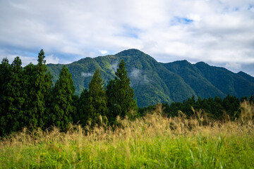 富山県富山市の立山連峰、鍬崎山、大品山、瀬戸蔵山の登山道の風景 A view of the trails in the Tateyama Mountain Range, Mt. Kuwasaki, Mt. Oshina, Mt. Setokura, Toyama city, Toyama prefecture. 