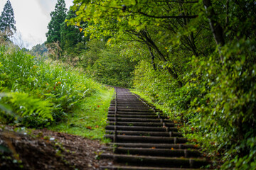 Obraz premium 富山県富山市の立山連峰、鍬崎山、大品山、瀬戸蔵山の登山道の風景 A view of the trails in the Tateyama Mountain Range, Mt. Kuwasaki, Mt. Oshina, Mt. Setokura, Toyama city, Toyama prefecture. 