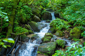 富山県富山市の立山連峰、鍬崎山、大品山、瀬戸蔵山の登山道の風景 A view of the trails in the Tateyama Mountain Range, Mt. Kuwasaki, Mt. Oshina, Mt. Setokura, Toyama city, Toyama prefecture. 