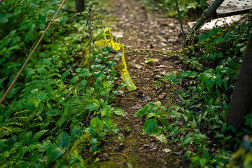富山県富山市の立山連峰、鍬崎山、大品山、瀬戸蔵山の登山道の風景 A view of the trails in the Tateyama Mountain Range, Mt. Kuwasaki, Mt. Oshina, Mt. Setokura, Toyama city, Toyama prefecture. 
