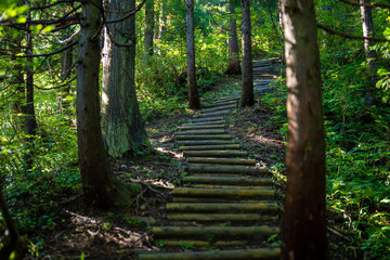 富山県富山市の立山連峰、鍬崎山、大品山、瀬戸蔵山の登山道の風景 A view of the trails in the Tateyama Mountain Range, Mt. Kuwasaki, Mt. Oshina, Mt. Setokura, Toyama city, Toyama prefecture. 