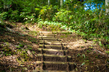 富山県富山市の立山連峰、鍬崎山、大品山、瀬戸蔵山の登山道の風景 A view of the trails in the Tateyama Mountain Range, Mt. Kuwasaki, Mt. Oshina, Mt. Setokura, Toyama city, Toyama prefecture. 