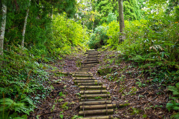 富山県富山市の立山連峰、鍬崎山、大品山、瀬戸蔵山の登山道の風景 A view of the trails in the Tateyama Mountain Range, Mt. Kuwasaki, Mt. Oshina, Mt. Setokura, Toyama city, Toyama prefecture. 