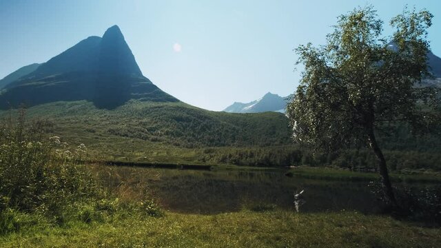 Quiet lake by the green mountain landscape of Innerdalen, Norway -Wide