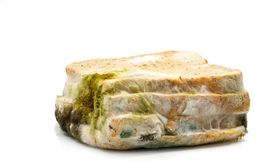 Stack of old bread which full of bread mold, Close up the moldy bread on white background.
