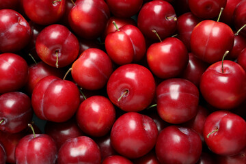 Fresh ripe cherry plums as background, closeup