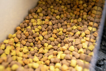 Bulk bin dog treats at a pet store. Bin full ofdog biscuit treats. 