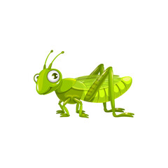 Fototapeta na wymiar Cartoon grasshopper vector icon, funny locust insect with cute face and big eyes. kids club or pest control service mascot, design element, wild creature isolated on white background