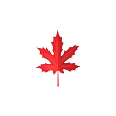 Maple leaf red, autumn and fall tree leaves icon, vector isolated foliage. Canadian red maple leaf, autumn season forest nature and Thanksgiving holiday symbol
