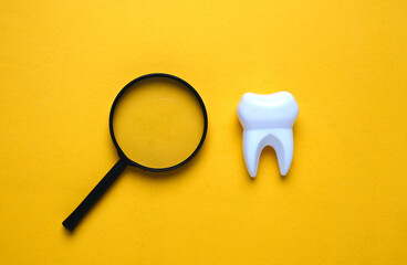 A picture of magnifying glass with fake tooth on yellow background. Regularly tooth check.