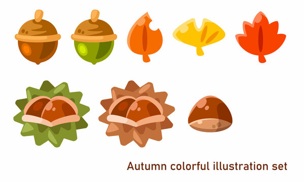 木の実 Images Browse 22 980 Stock Photos Vectors And Video Adobe Stock