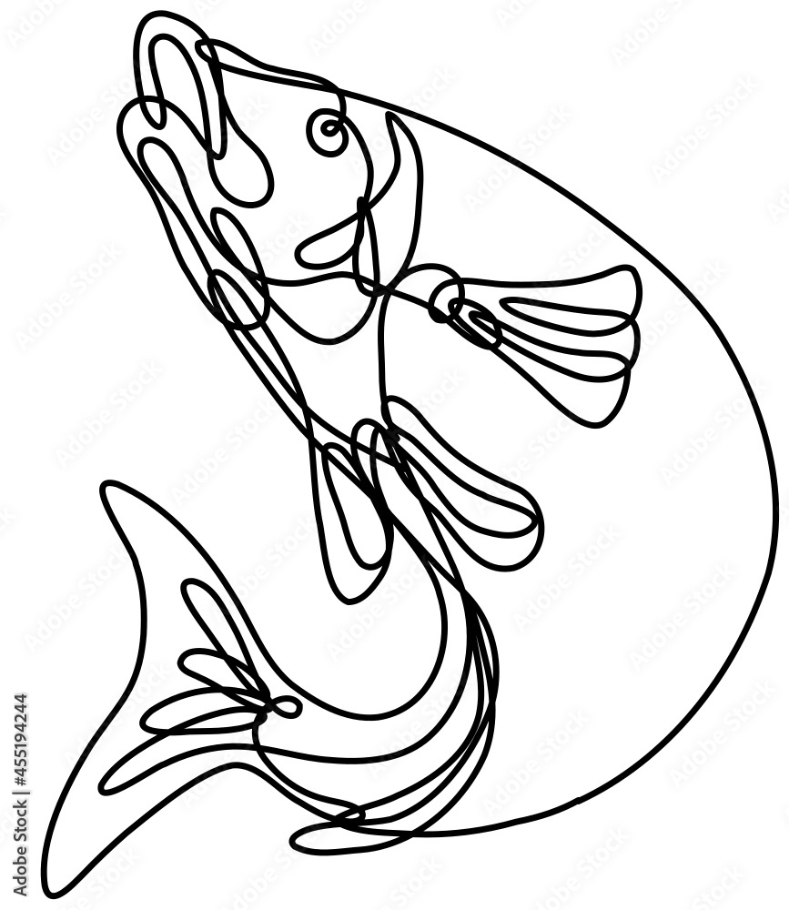 Poster continuous line drawing illustration of a lake trout jumping up done in mono line or doodle style in