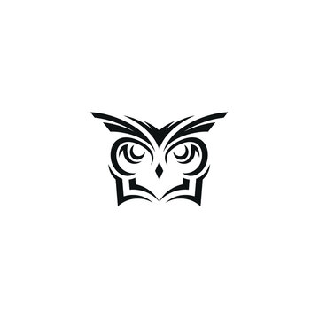 Owl Bird Animal Head Face with Notebook Logo Design