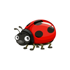 Cartoon ladybug vector icon, funny insect with cute face and big eyes. Pest control service mascot, design element. Wild creature, bug isolated on white background