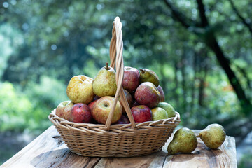Apples and pears from the mountain of Mexico, regional tasty creole fruit in Surutato, Sinaloa.