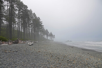 Ruby Beach is shown along the west coast of Washington state, USA during a foggy, summer day.