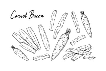 Hand drawn carrot bacon set. Vector illustration in sketch style