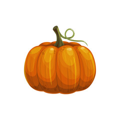 Pumpkin with stem isolated raw gourd squash realistic icon. Vector Halloween symbol, fresh veggies 3D pumpkin squash gourd. Ripe autumn harvest vegetable, vegetarian food, orange pumpkin