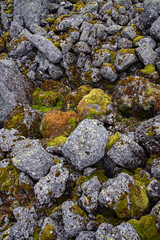 Stone nature background. Stones, boulders covered with moss and fungus in the mountains of Khibiny. Top view