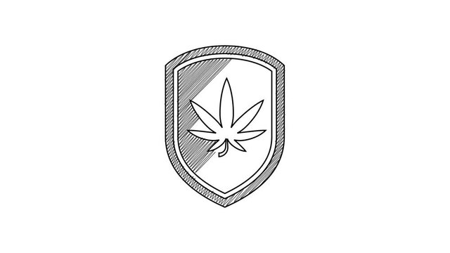 Black line Shield and marijuana or cannabis leaf icon isolated on white background. Marijuana legalization. Hemp symbol. 4K Video motion graphic animation