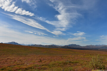 Alaska Range mountains rise above the tundra in Denali National Park and Preserve.
