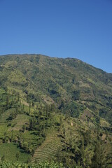 Fototapeta premium view of the mountains
