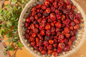 Sun dried Ziziphus jujuba, commonly called jujube, also known as Chinese date, Chinese apple,...
