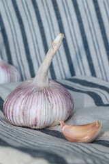 Garlic bulb and clove on textile background