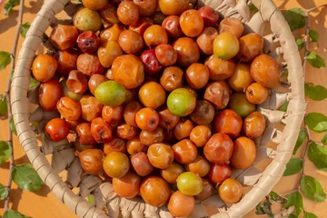 Foto op Aluminium Ziziphus jujuba, commonly called jujube, also known as Chinese date, Chinese apple, Indian plum, Indian jujube, Musawu or Maçanica. They are sweet fruits, quite nutritious and rich in vitamin C © ivanbruno