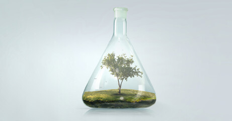 Tree growing inside clear glass bottle