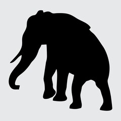 Elephant Silhouette, Elephant Isolated On White Background