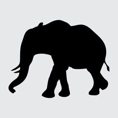 Elephant Silhouette, Elephant Isolated On White Background