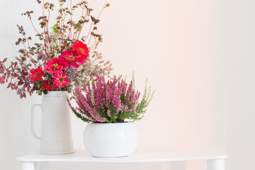 heather in flowerpot and  bouquet in vase on white background